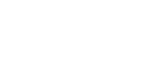 Grupo INDI